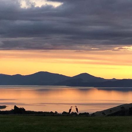 Hilltop Whakaipo Estate 陶波 外观 照片