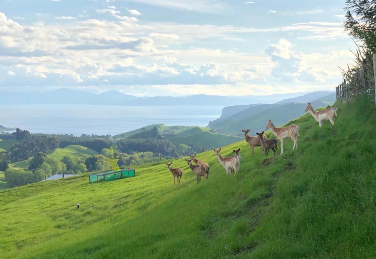 Hilltop Whakaipo Estate 陶波 外观 照片