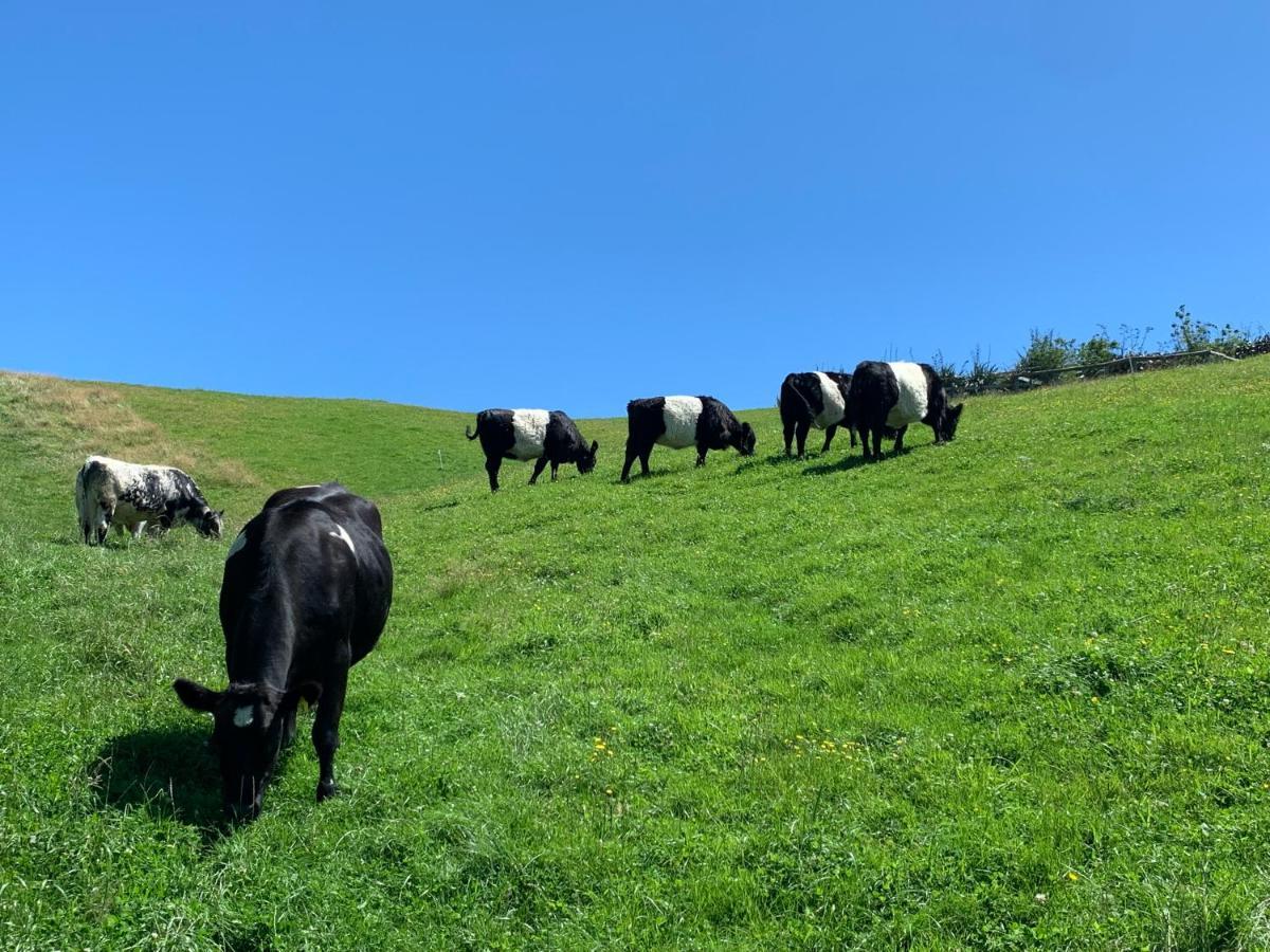 Hilltop Whakaipo Estate 陶波 外观 照片