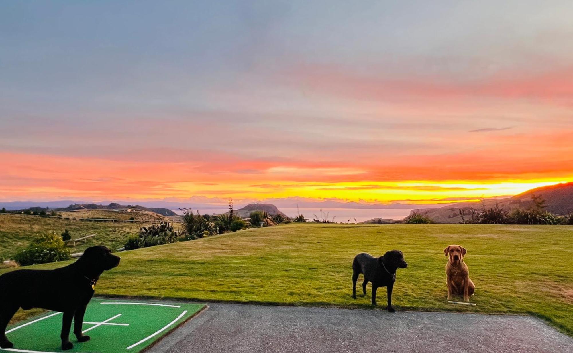 Hilltop Whakaipo Estate 陶波 外观 照片