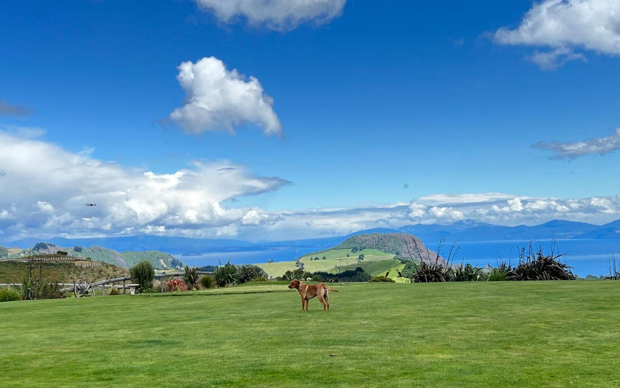Hilltop Whakaipo Estate 陶波 外观 照片