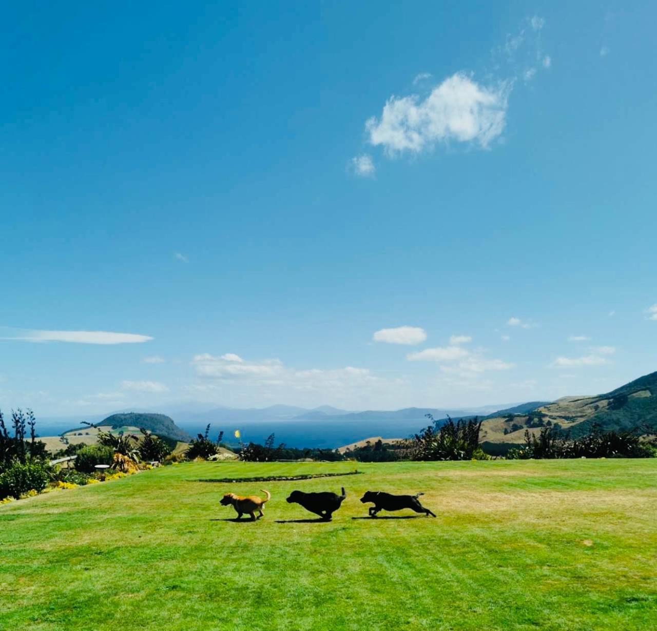 Hilltop Whakaipo Estate 陶波 外观 照片